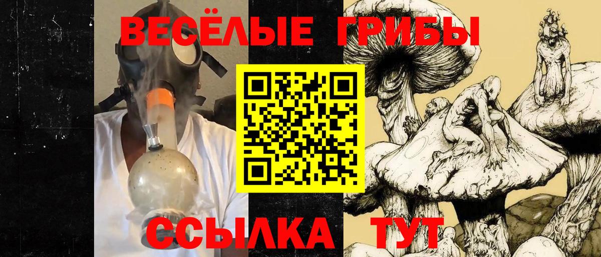 Псилоцибиновые грибы MAGIC MUSHROOMS Кирово-Чепецк