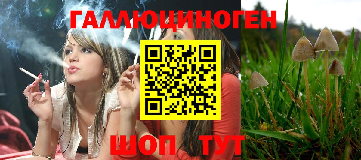 Галлюциногенные грибы мицелий  Вход с VPN  Кирово-Чепецк  Галлюциногенные грибы прущие грибы 